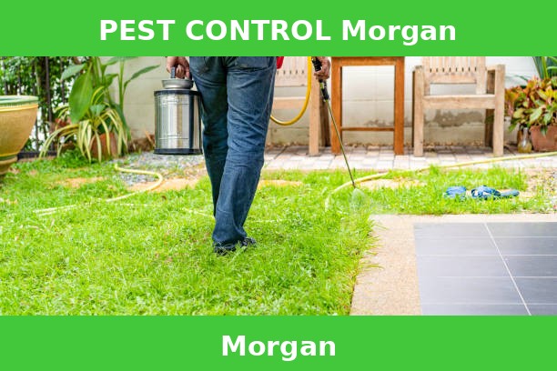 PEST CONTROL Morgan